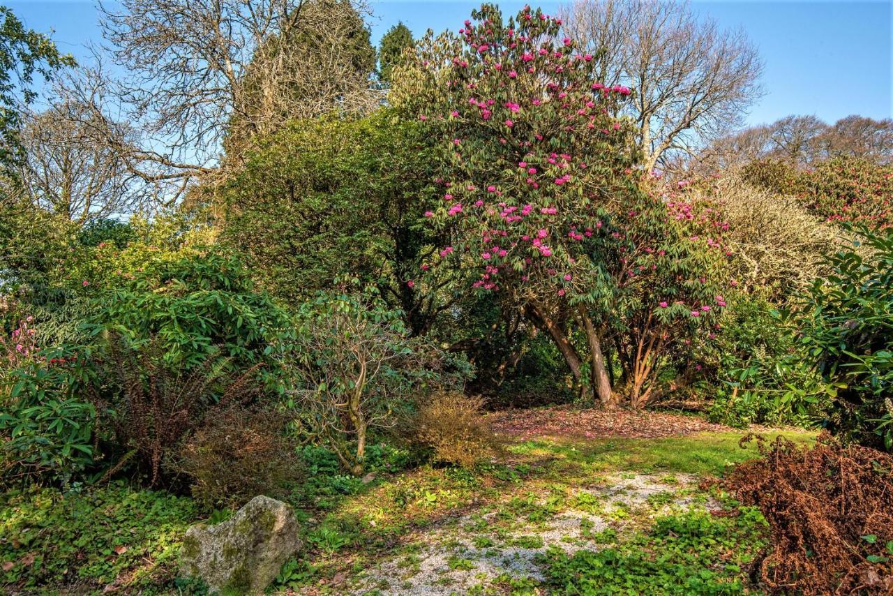 Bosvathick Cottage Constantine Buitenkant foto