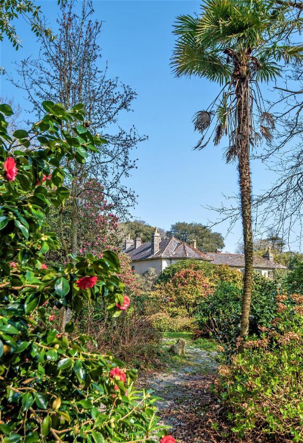 Bosvathick Cottage Constantine Buitenkant foto